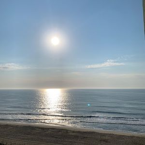 Meet your Posher, Terri